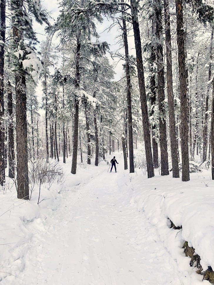 The Sandilands Ski Club has a new President